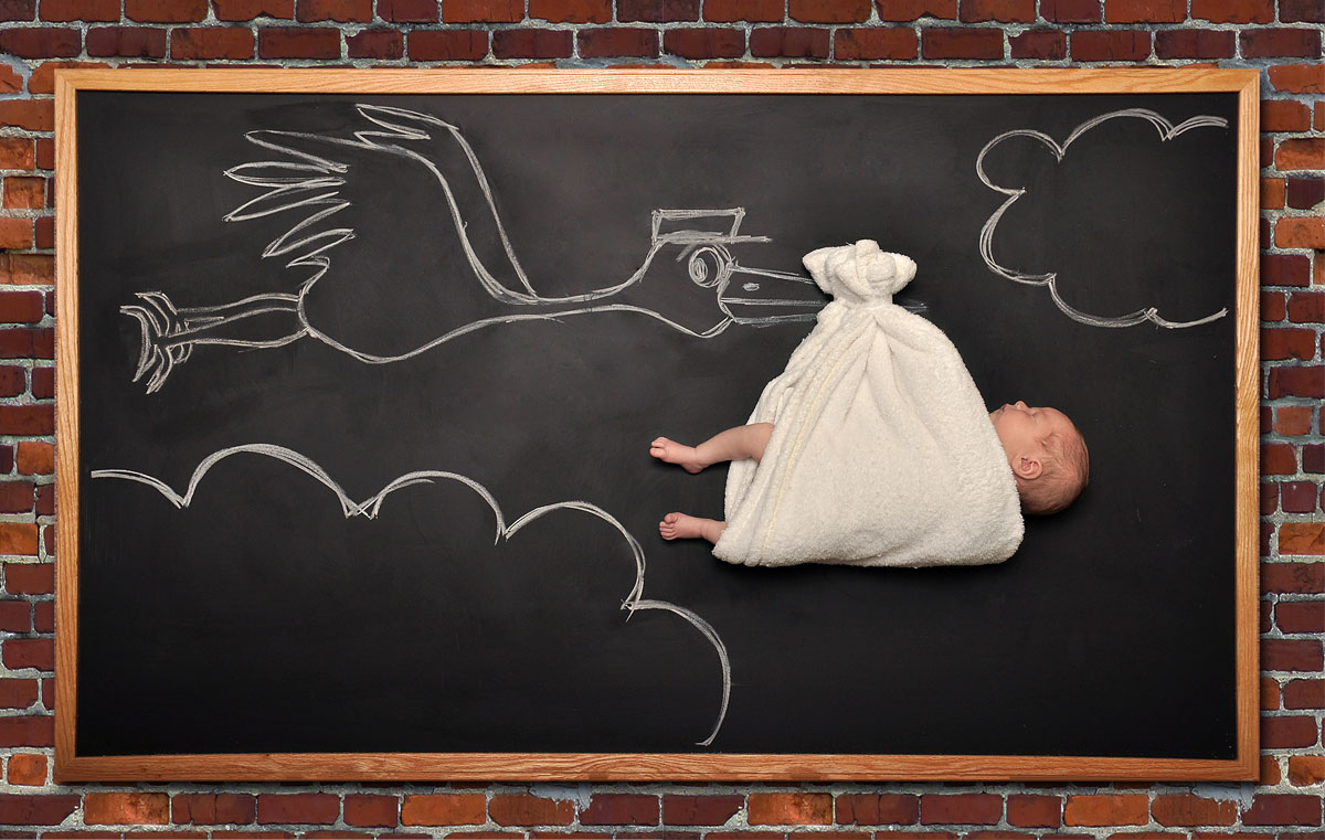 newborn photographer Bay Area